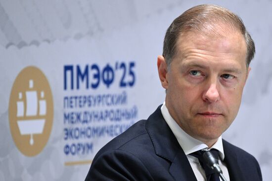 SPIEF-2025. Technological Repatriation Scenarios: The Role of Foreign Companies in the Russian Market