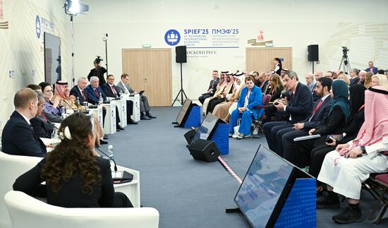 SPIEF-2025. The Future of Public Audit: Development Priorities