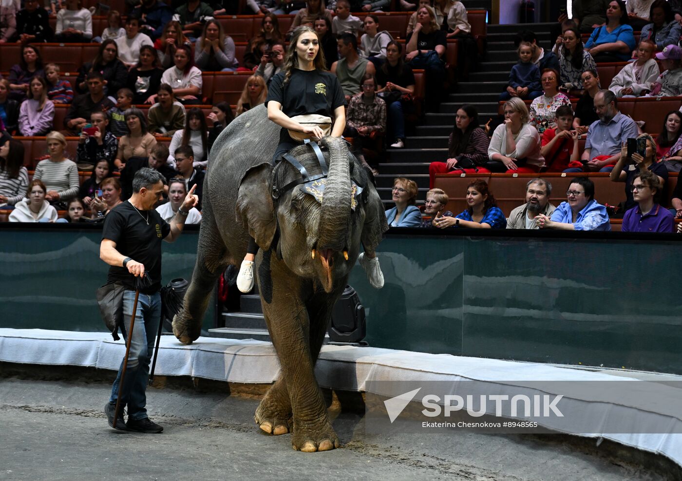 Russia Circus