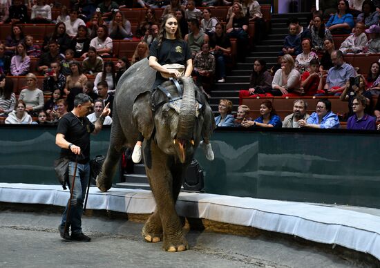 Russia Circus