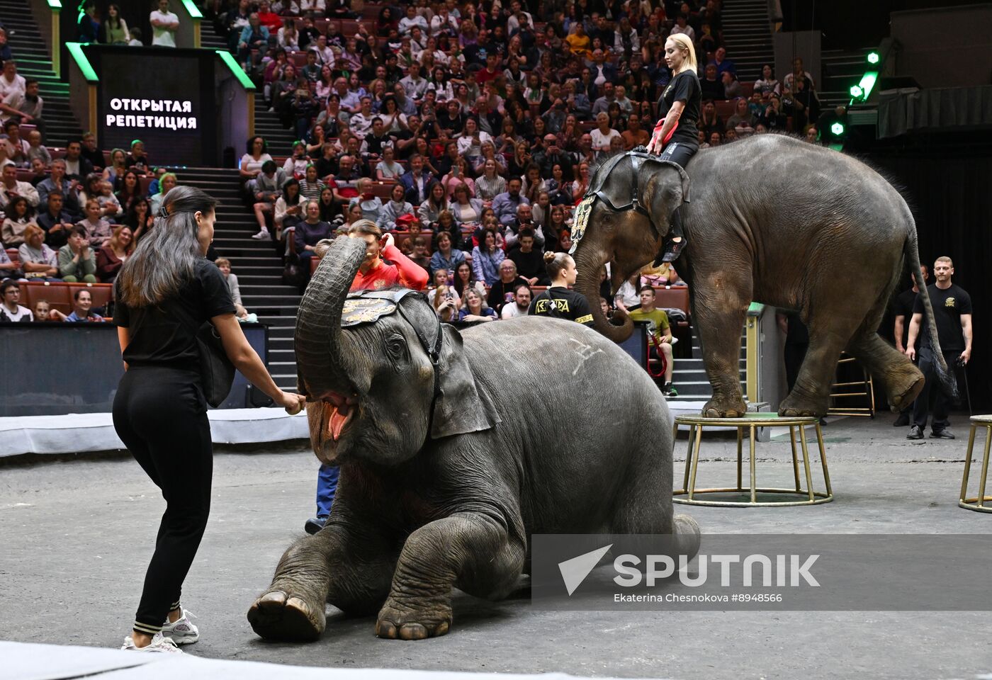 Russia Circus