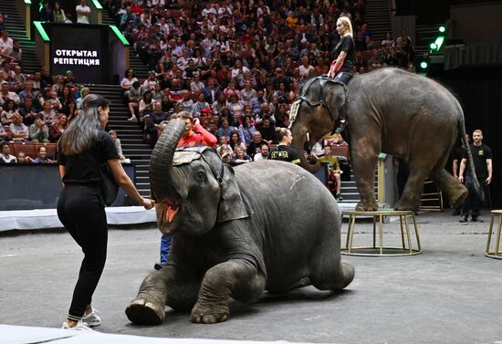 Russia Circus
