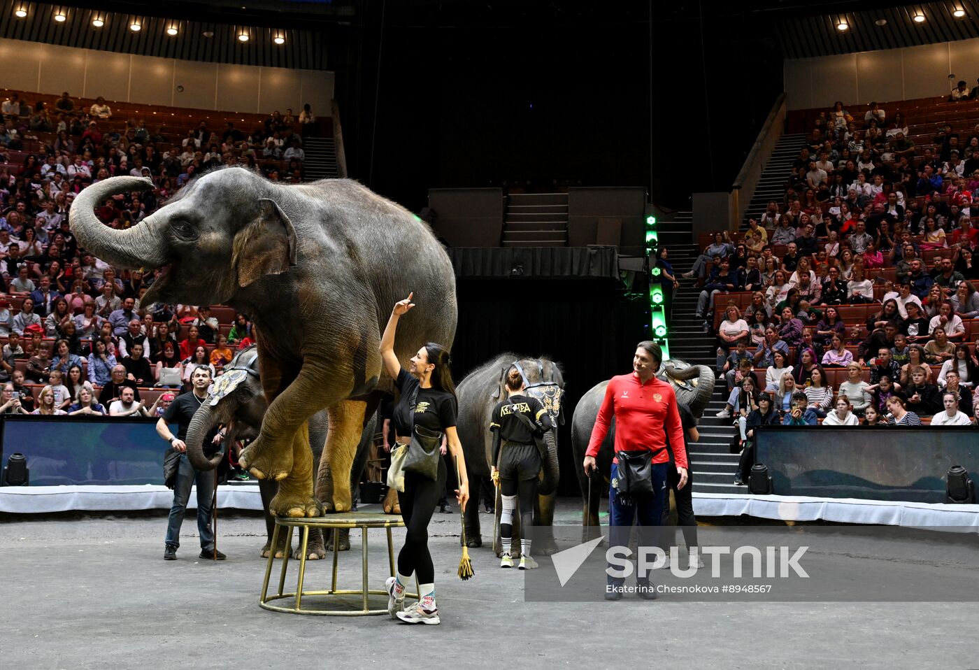 Russia Circus