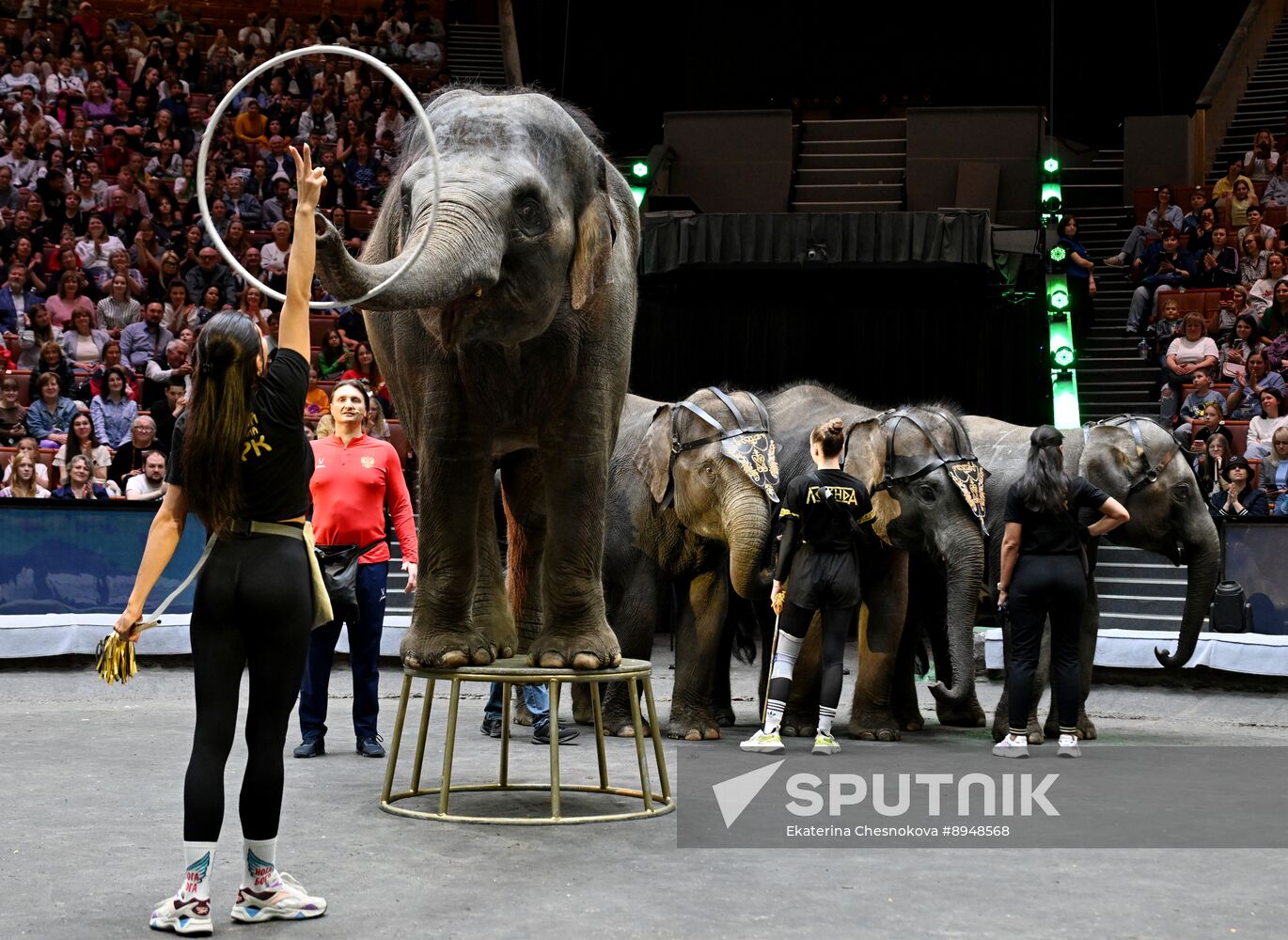 Russia Circus