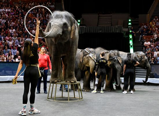 Russia Circus