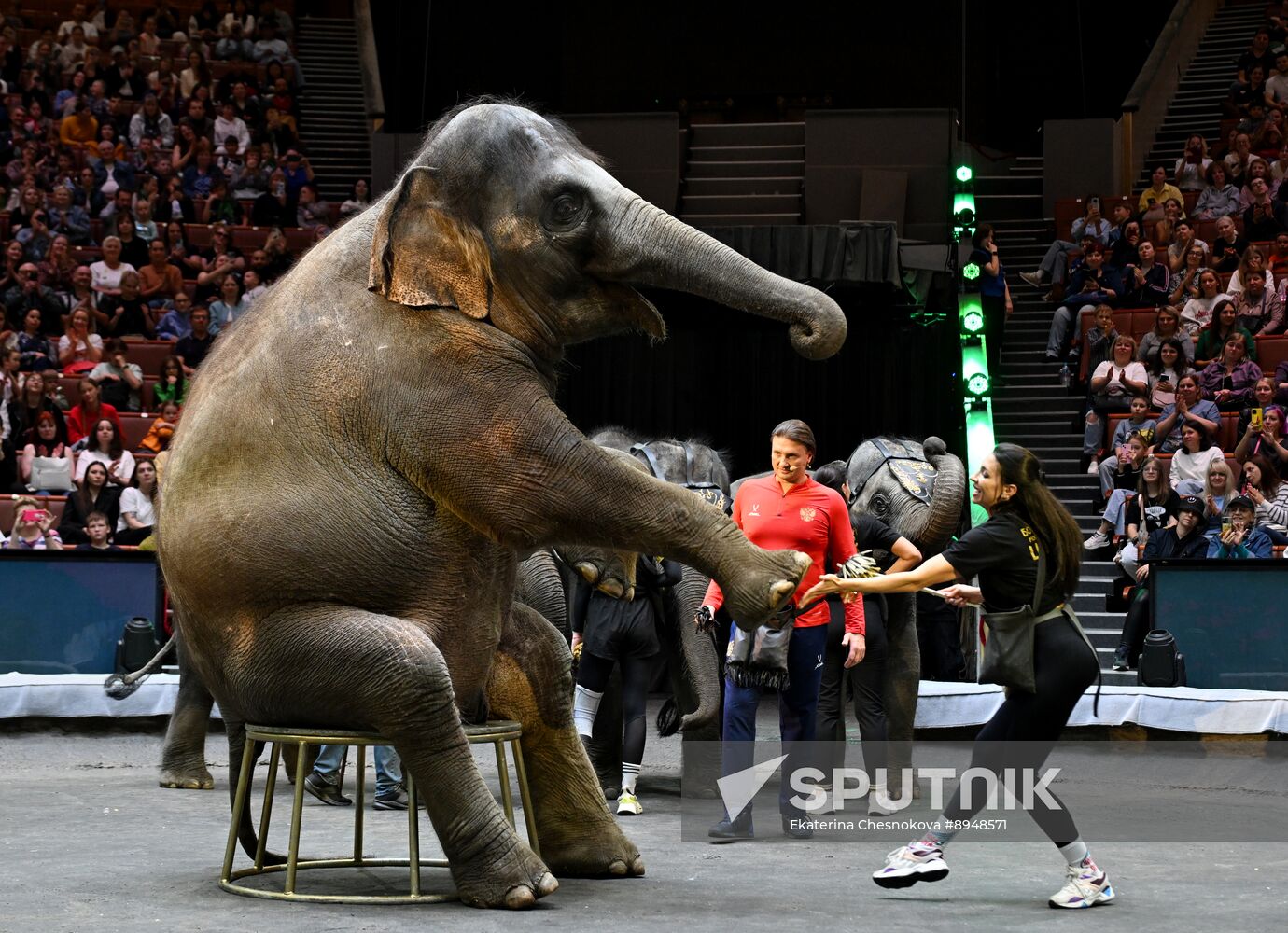 Russia Circus