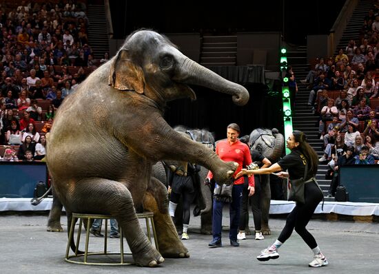 Russia Circus