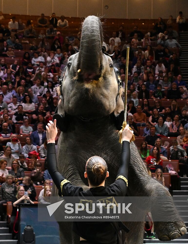 Russia Circus