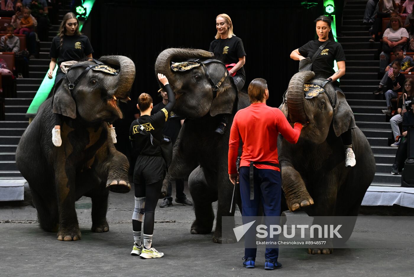 Russia Circus
