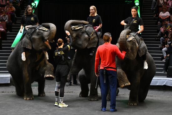 Russia Circus