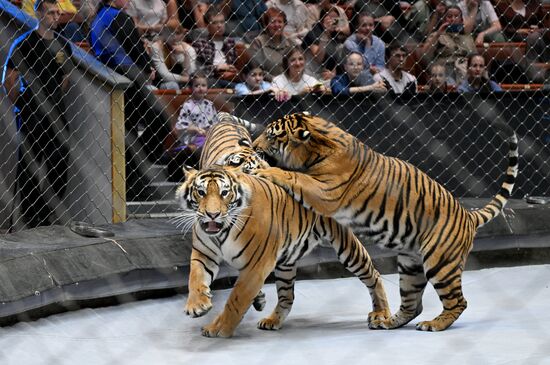 Russia Circus