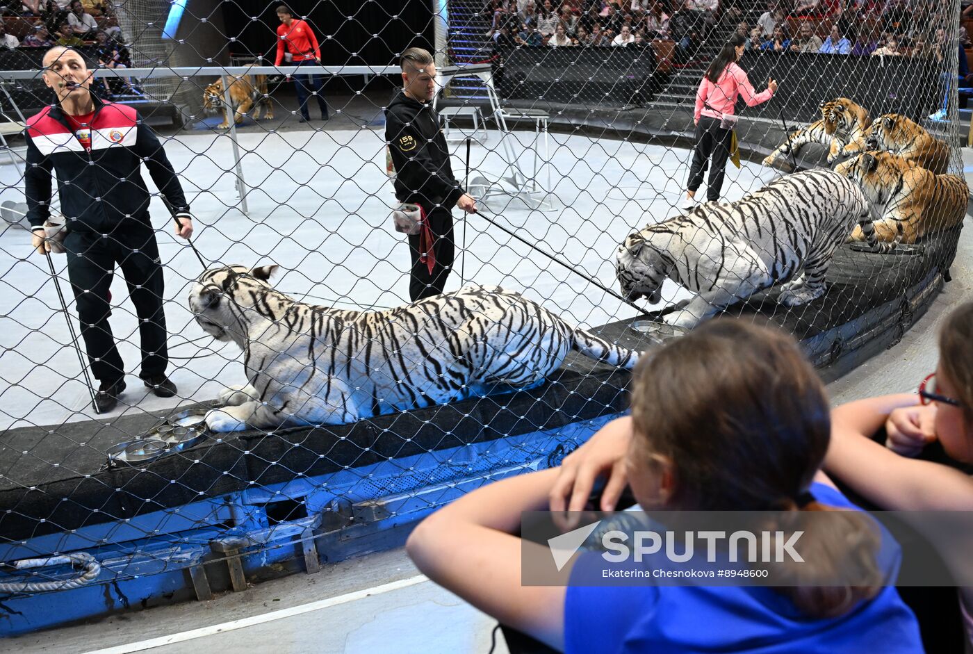 Russia Circus
