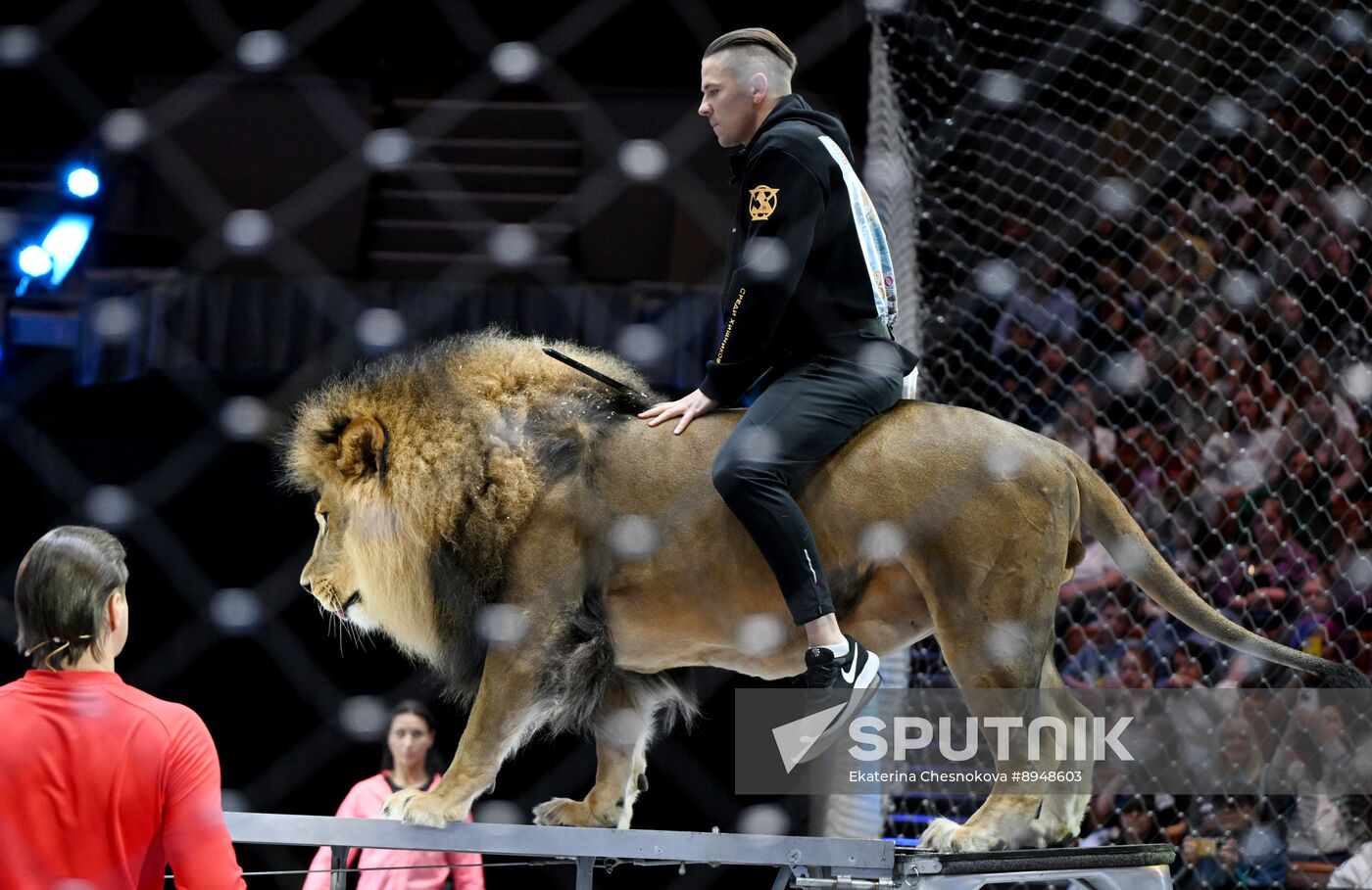 Russia Circus