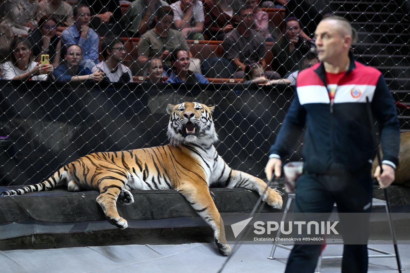 Russia Circus
