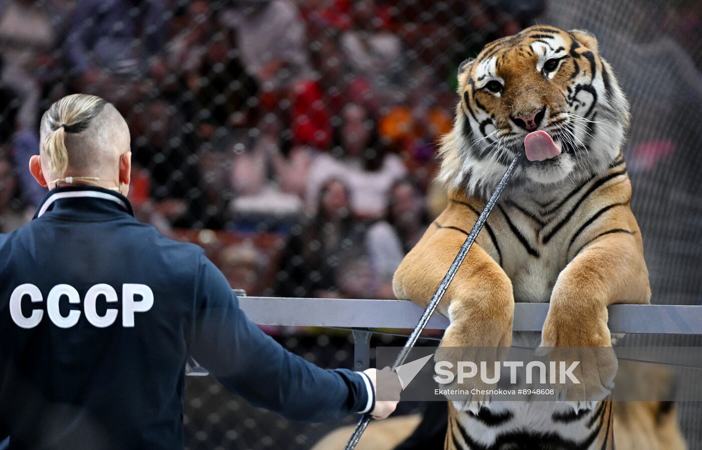Russia Circus