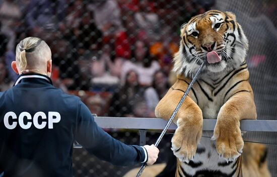 Russia Circus