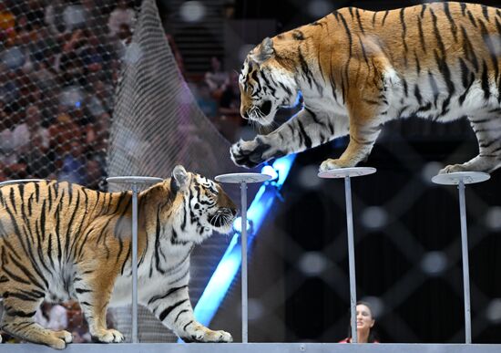 Russia Circus