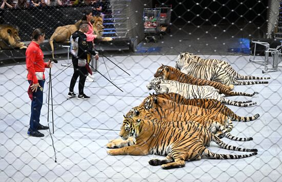 Russia Circus