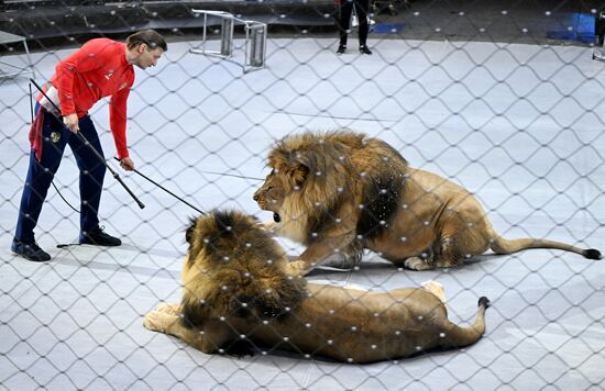 Russia Circus