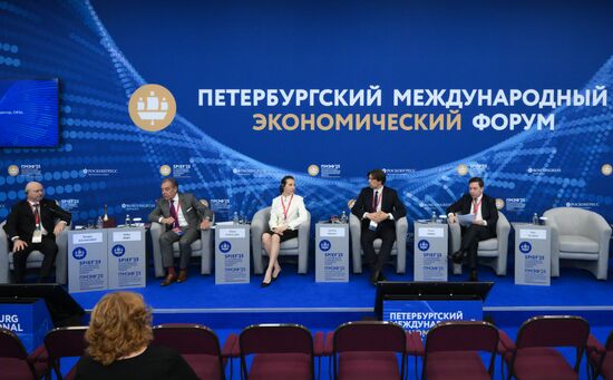 SPIEF-2025. Russia–France