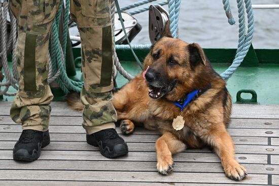 Russia Interior Ministry Canine Service Day