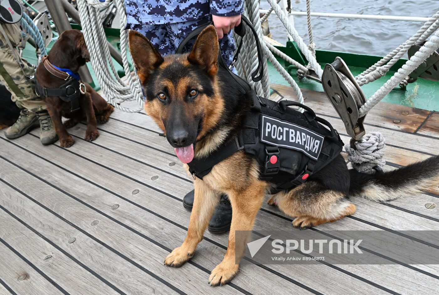 Russia Interior Ministry Canine Service Day