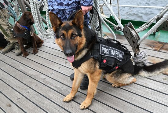 Russia Interior Ministry Canine Service Day