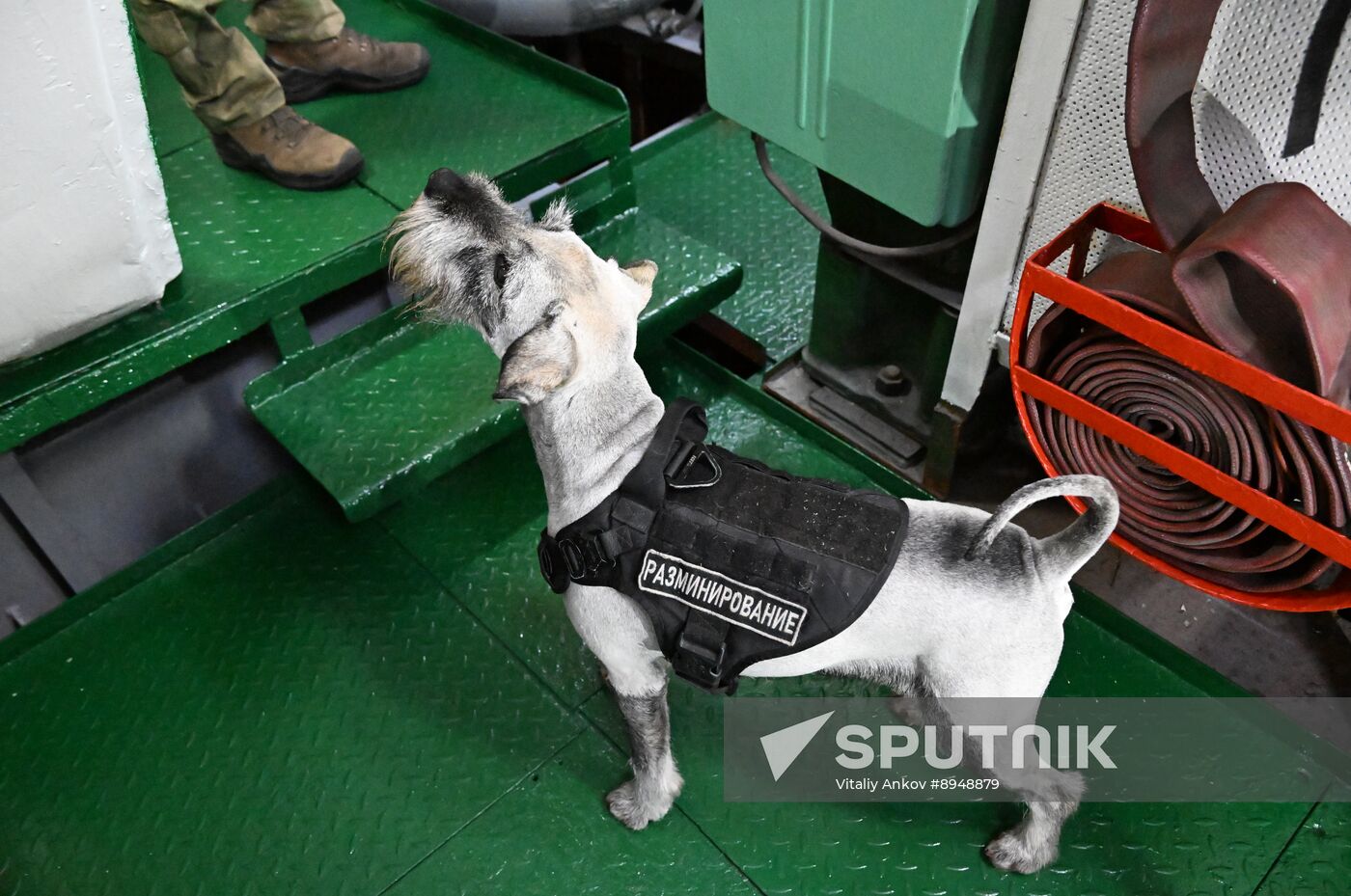 Russia Interior Ministry Canine Service Day