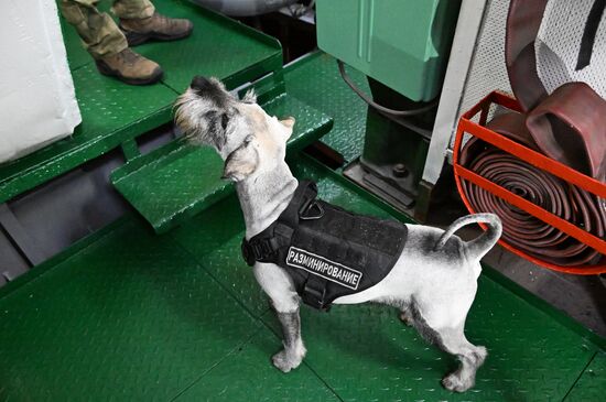 Russia Interior Ministry Canine Service Day