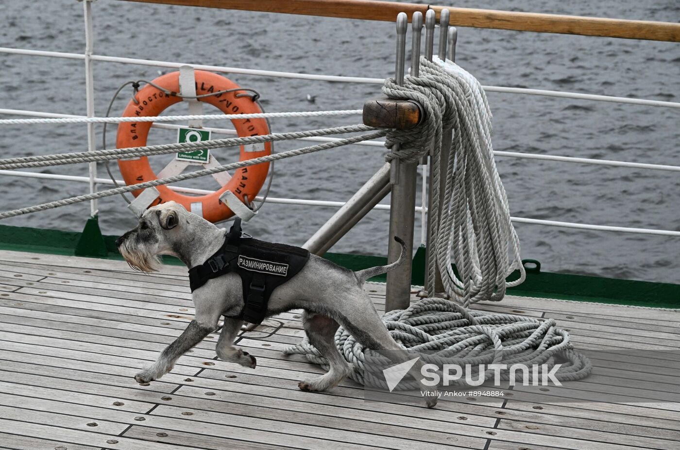 Russia Interior Ministry Canine Service Day