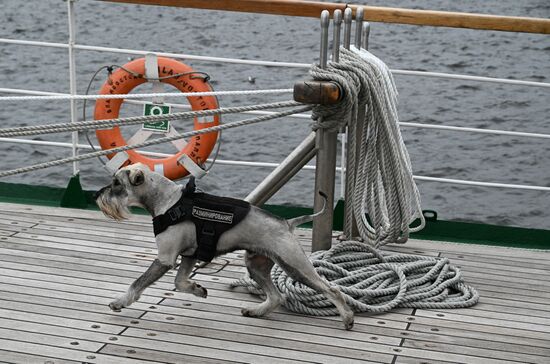 Russia Interior Ministry Canine Service Day