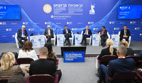 SPIEF-2025. Russia–Indonesia