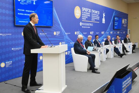 SPIEF-2025. Russia–Indonesia
