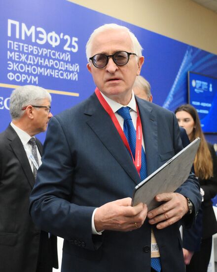 SPIEF-2025. Russia–Indonesia