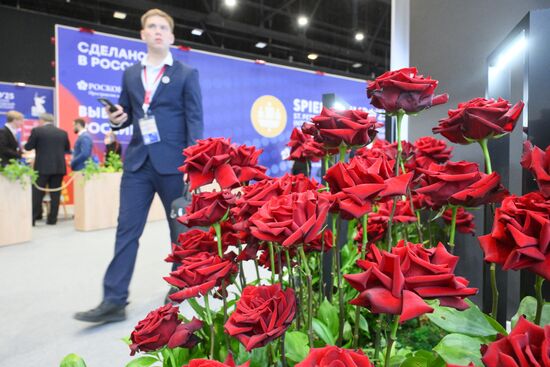 SPIEF-2025. Forum events