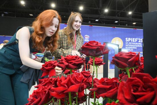 SPIEF-2025. Forum events