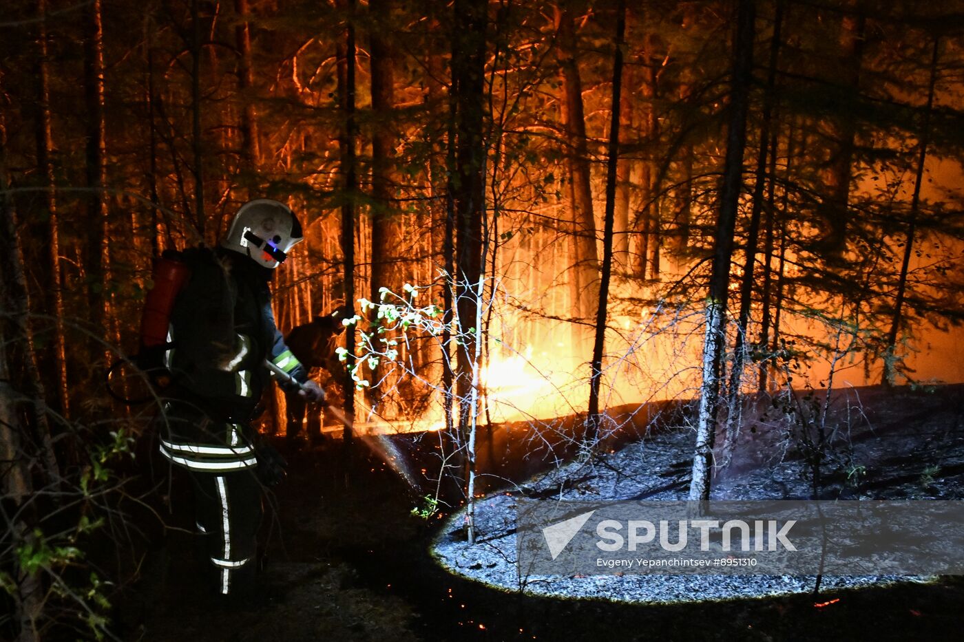 Russia Wildfires