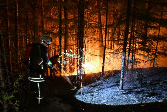Russia Wildfires