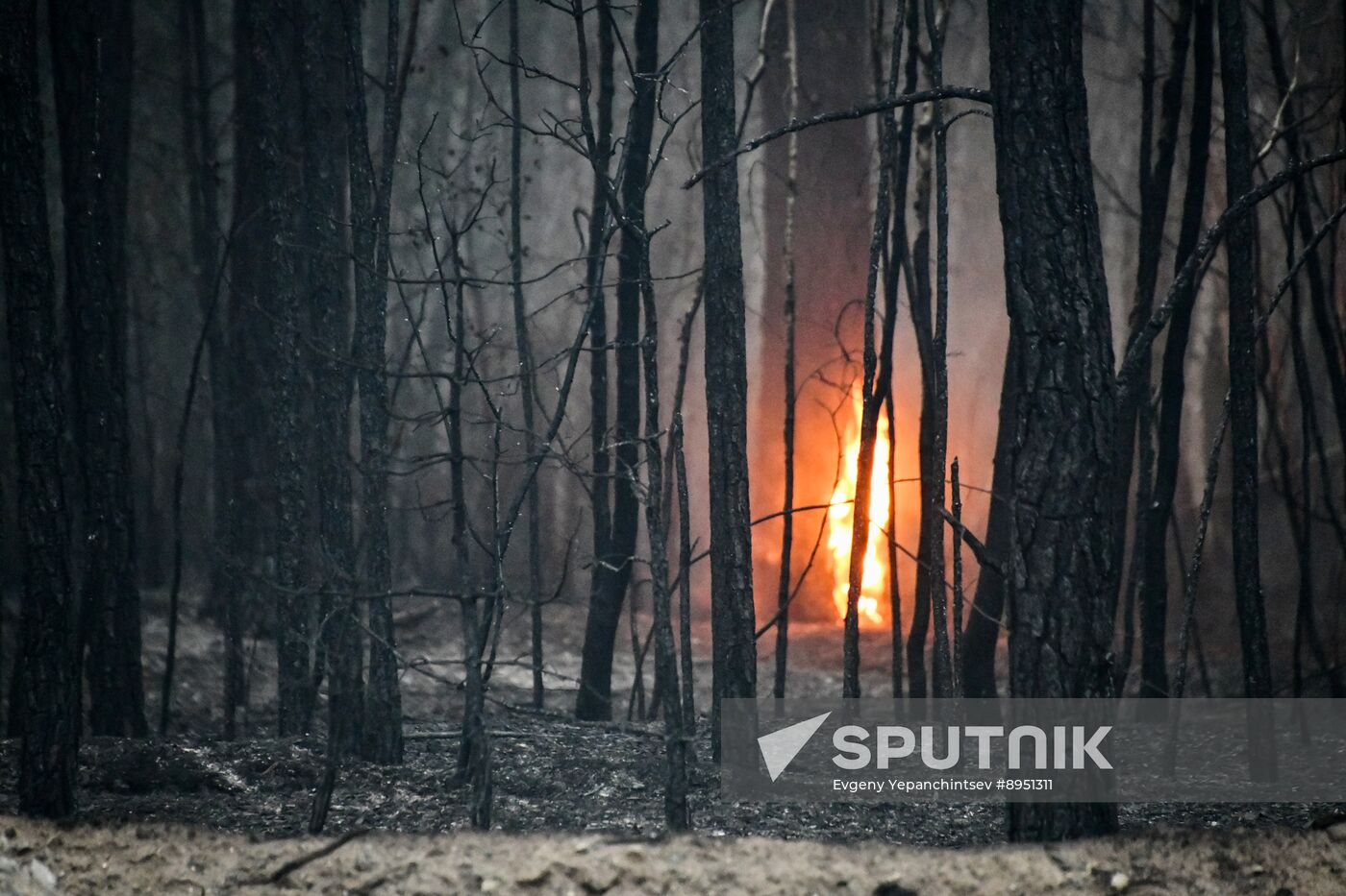 Russia Wildfires