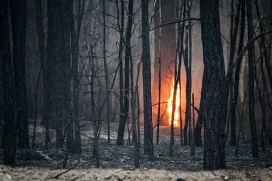 Russia Wildfires