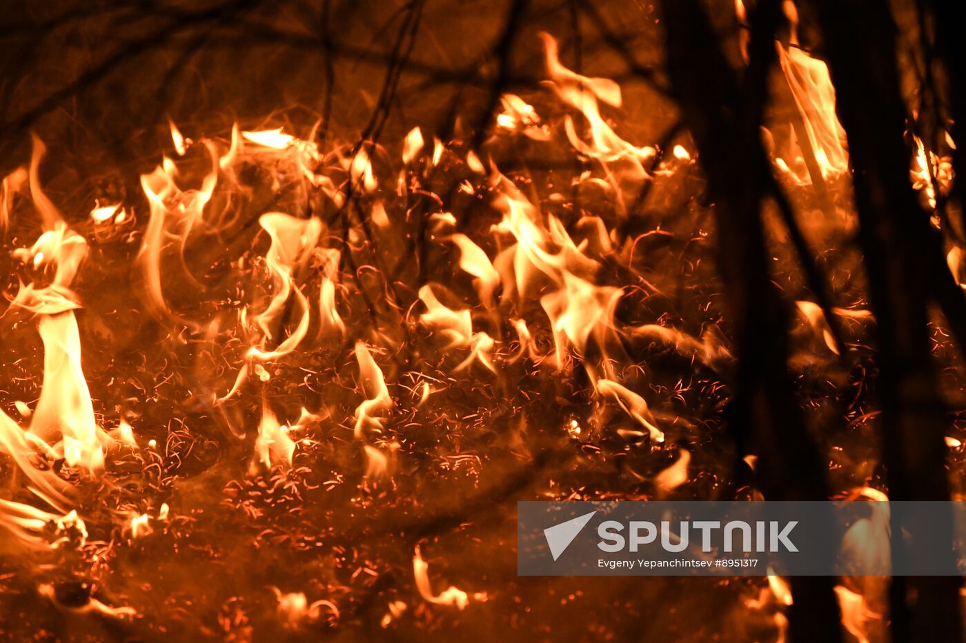 Russia Wildfires