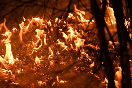 Russia Wildfires