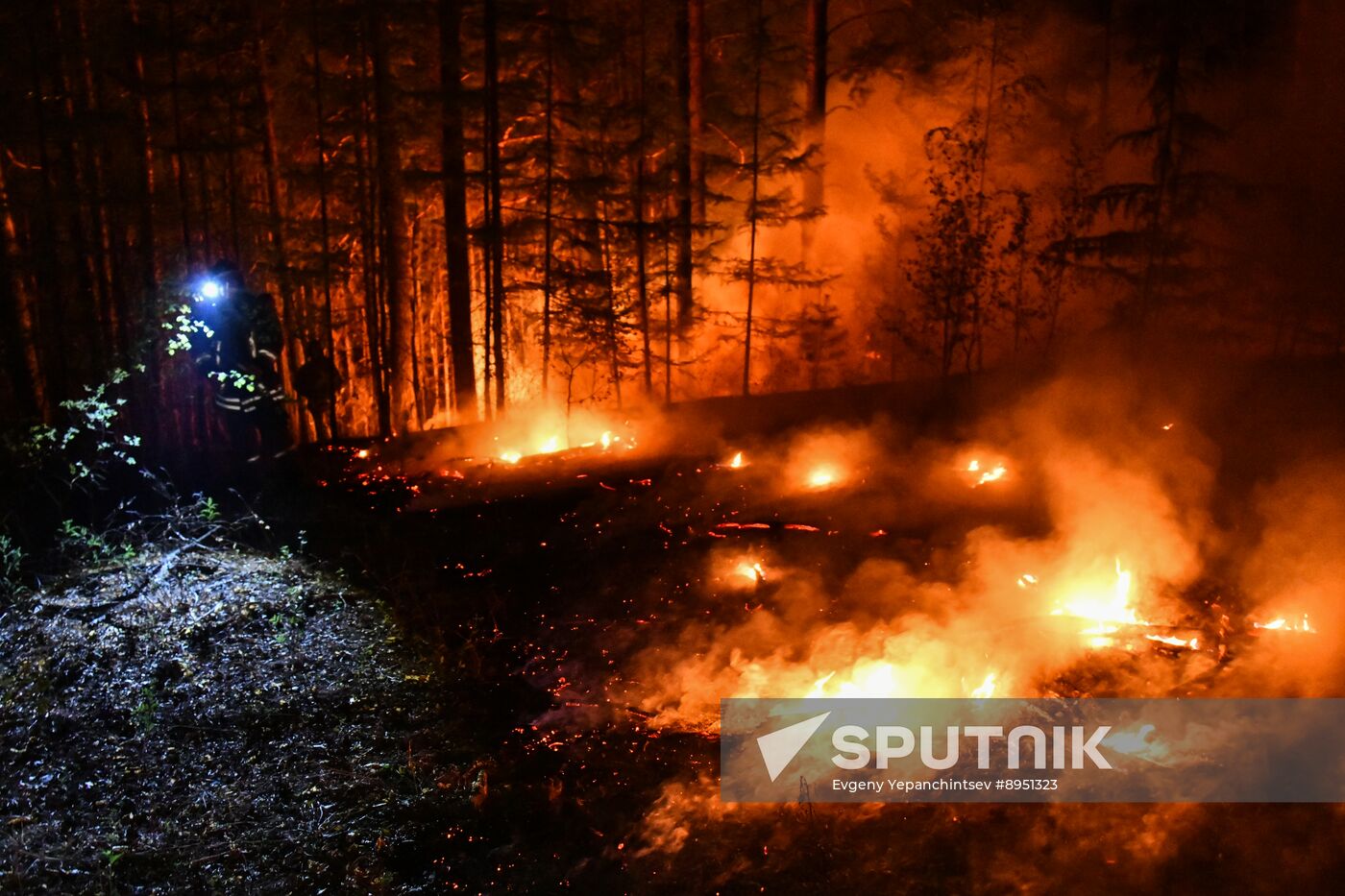 Russia Wildfires