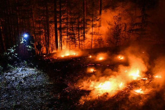 Russia Wildfires