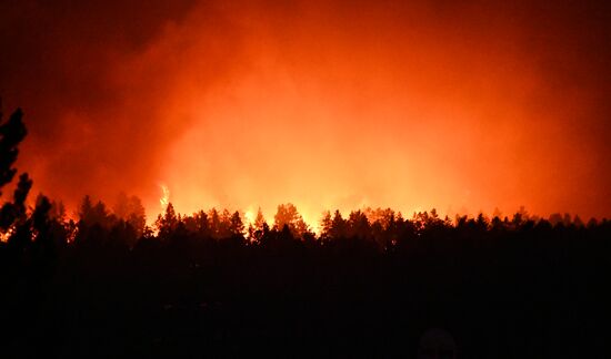 Russia Wildfires