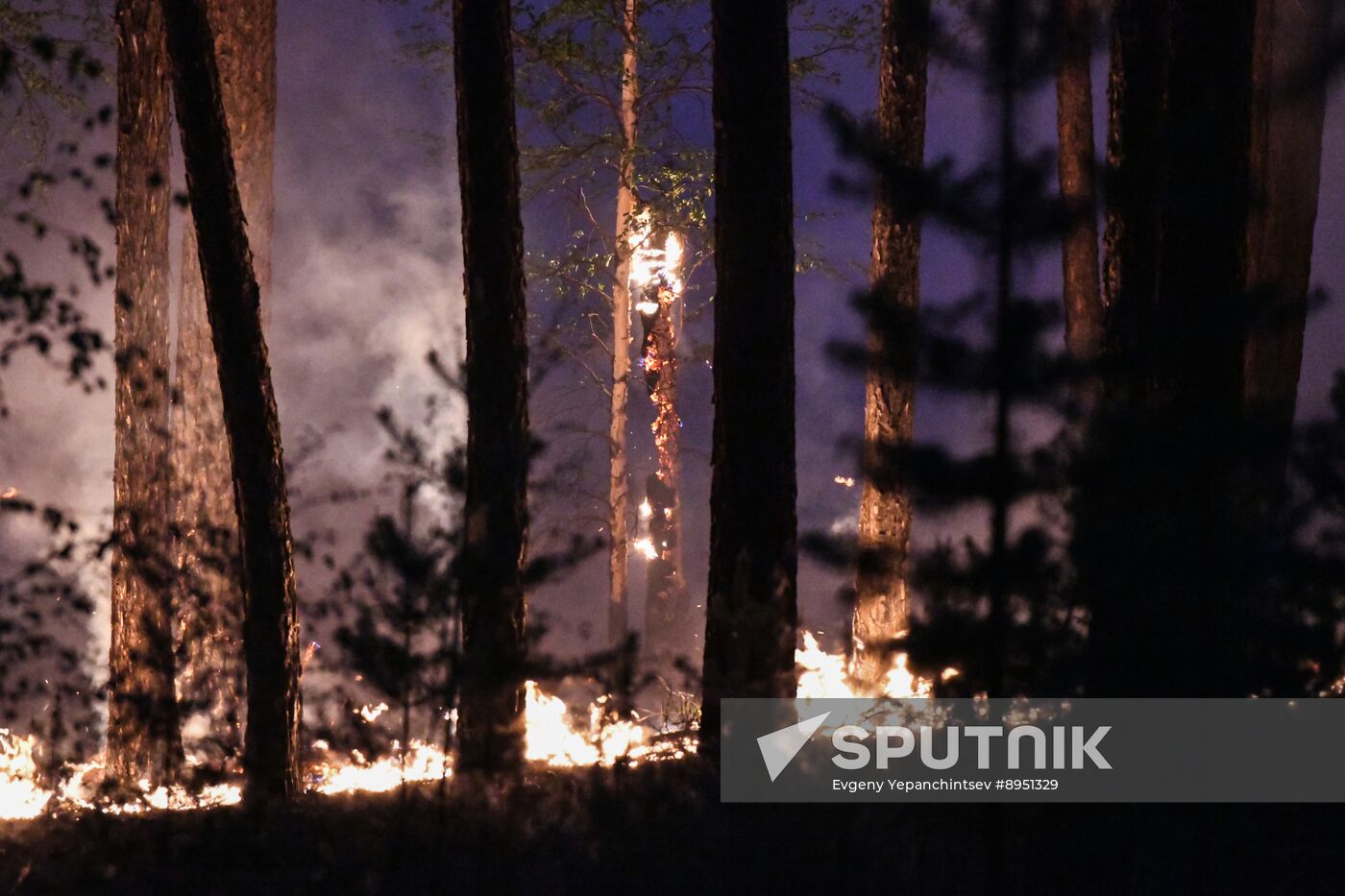 Russia Wildfires