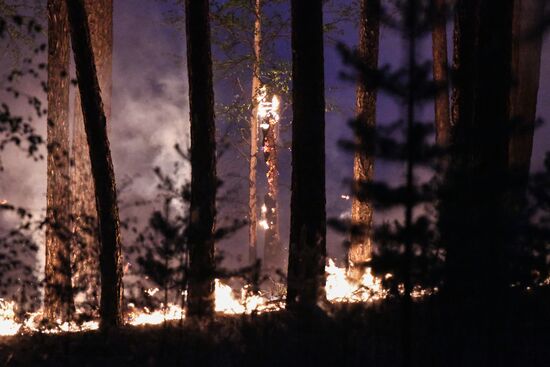 Russia Wildfires