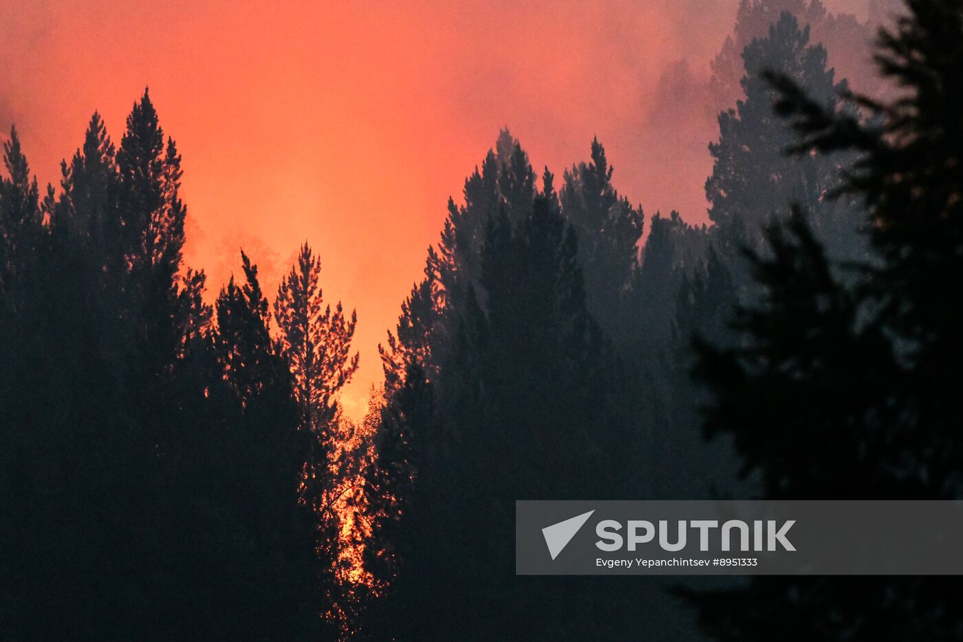 Russia Wildfires