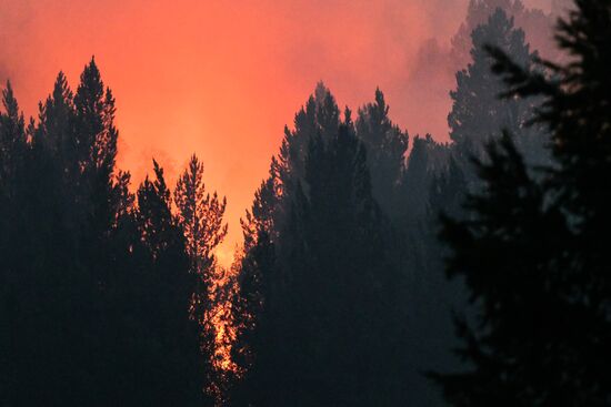 Russia Wildfires