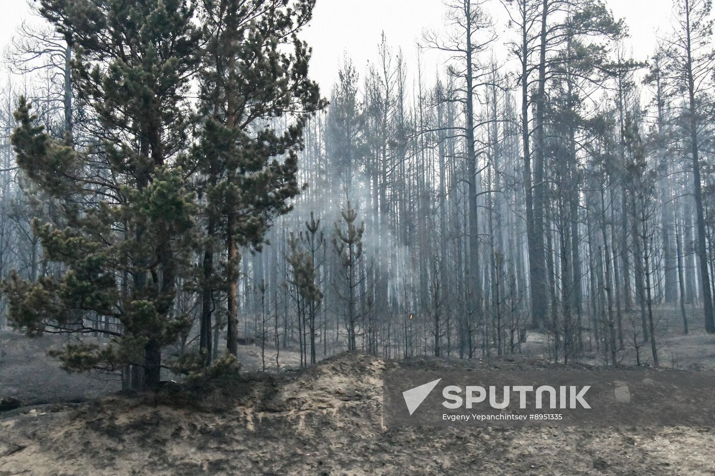 Russia Wildfires